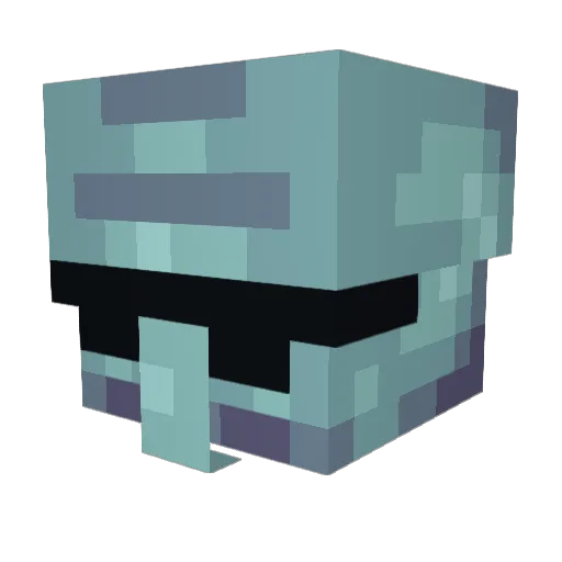 BirdBrain998 Minecraft avatar head, 3D render