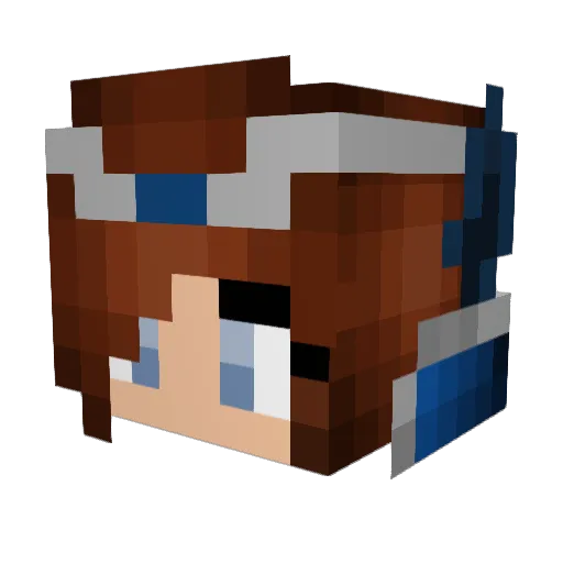 BirdBroBard Minecraft avatar head, 3D render