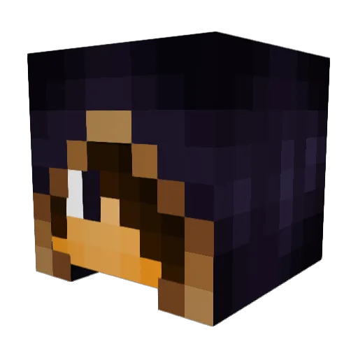 BirdDragon Minecraft avatar head, 3D render