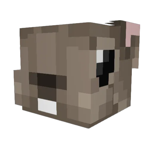 BirdLover9000 Minecraft avatar head, 3D render