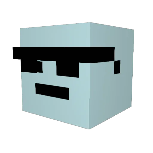 BirdM29 Minecraft avatar head, 3D render