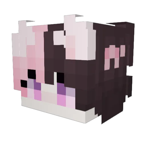BirdPuller22 Minecraft avatar head, 3D render