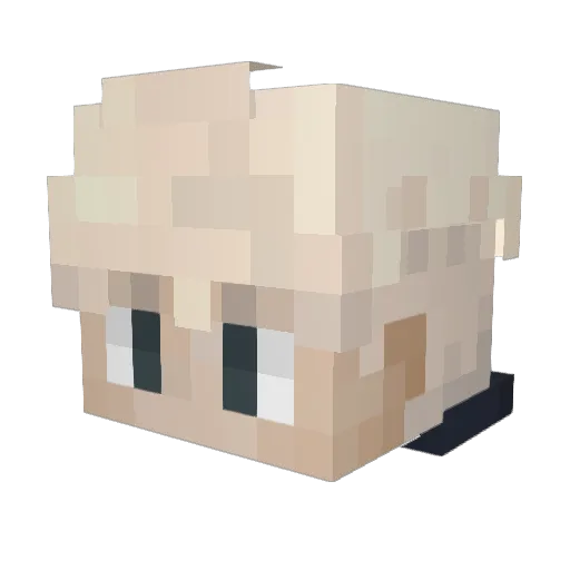BirdRee Minecraft avatar head, 3D render