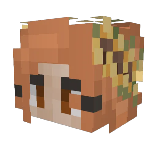 BirdStar Minecraft avatar head, 3D render