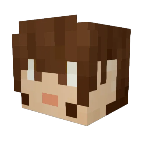Bird_05 Minecraft avatar head, 3D render