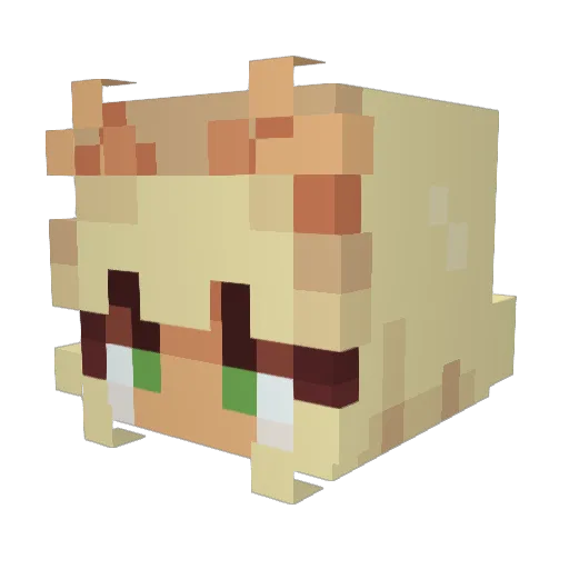 Bird_Aves Minecraft avatar head, 3D render