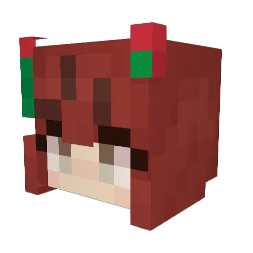 Bird_Brainer Minecraft avatar head, 3D render