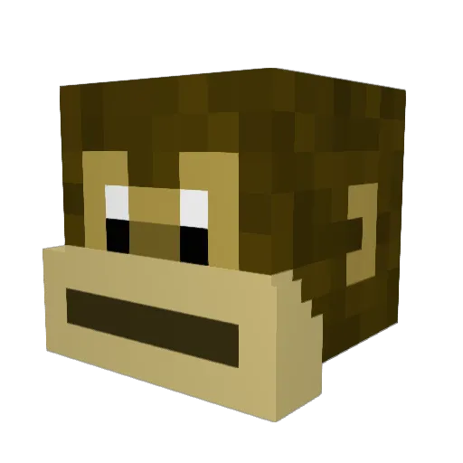 Bird_Bran Minecraft avatar head, 3D render