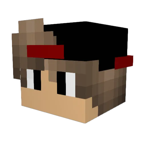 Bird_PowerYT Minecraft avatar head, 3D render