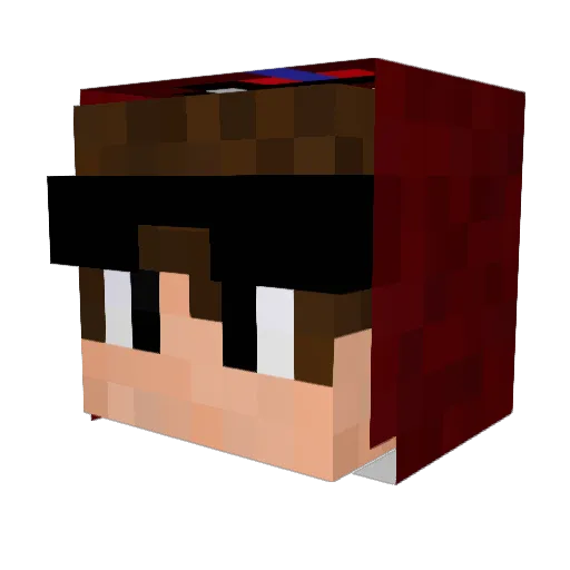 Bird_Red Minecraft avatar head, 3D render