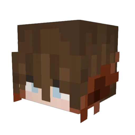 Bird_Sticks Minecraft avatar head, 3D render
