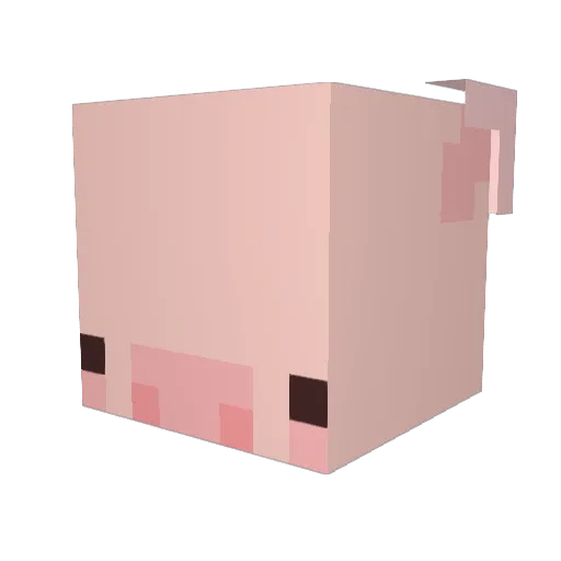 Birdddddd Minecraft avatar head, 3D render
