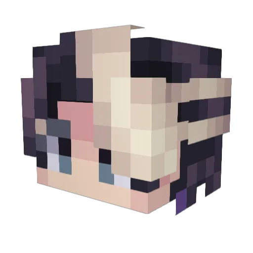Birdface_ Minecraft avatar head, 3D render