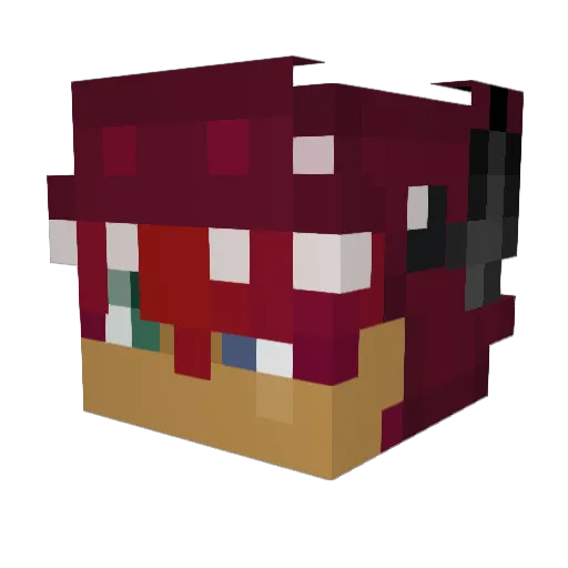 Birdfighter1176 Minecraft avatar head, 3D render