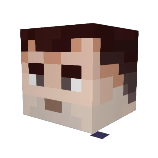 Birdgarner Minecraft avatar head, 3D render