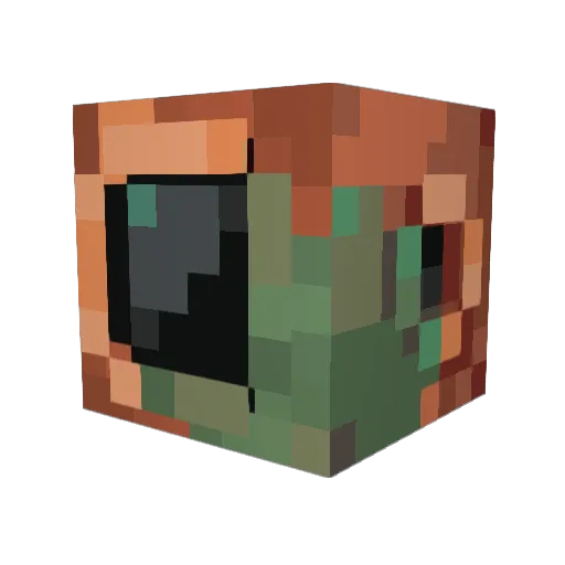 Birdhousefour Minecraft avatar head, 3D render