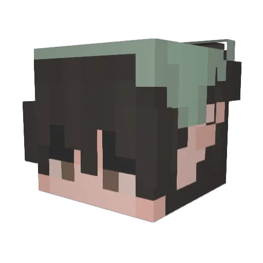BirdiChan Minecraft avatar head, 3D render