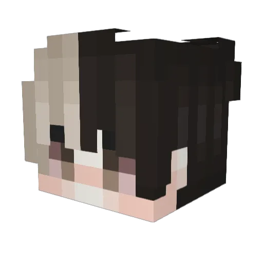 Birdie3k Minecraft avatar head, 3D render