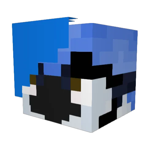 Birdie735 Minecraft avatar head, 3D render