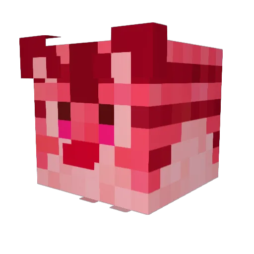BirdiePeep Minecraft avatar head, 3D render