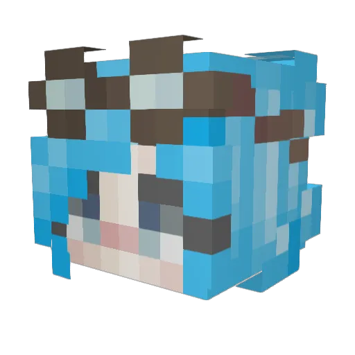 Birdie_Blue Minecraft avatar head, 3D render