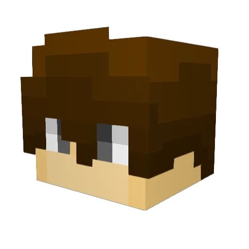 Birdie_PvP Minecraft avatar head, 3D render