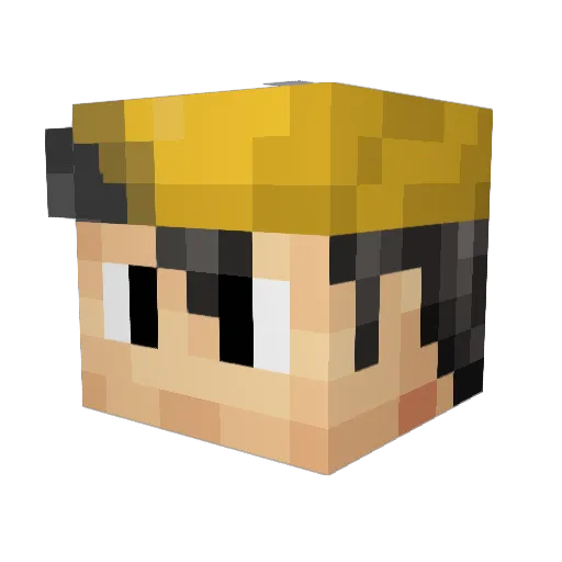 Birdman2203 Minecraft avatar head, 3D render