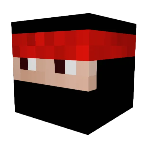 Birdman_25 Minecraft avatar head, 3D render