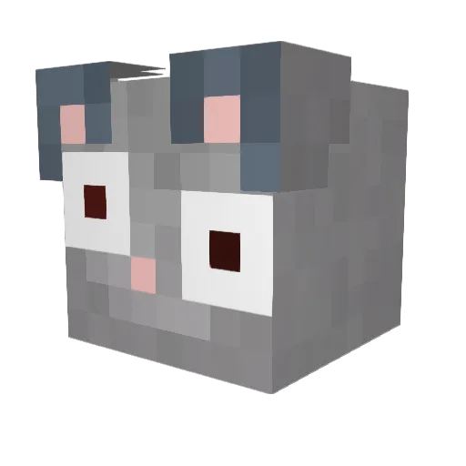 Birdmaster94 Minecraft avatar head, 3D render