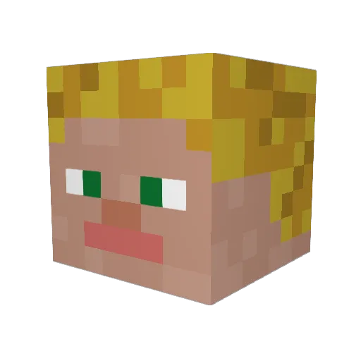Birdmen1999 Minecraft avatar head, 3D render
