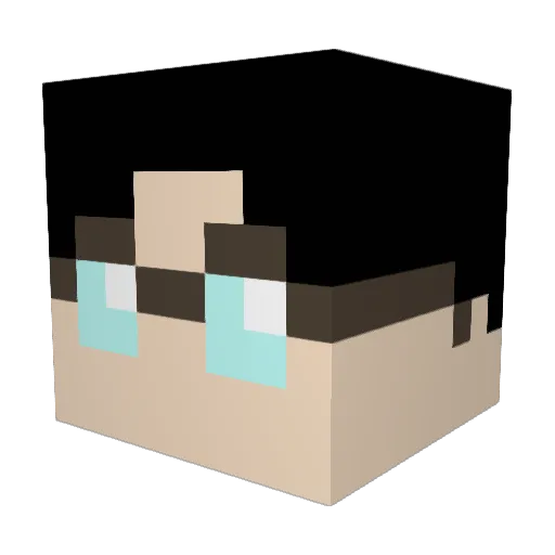 Birdnest_Z Minecraft avatar head, 3D render