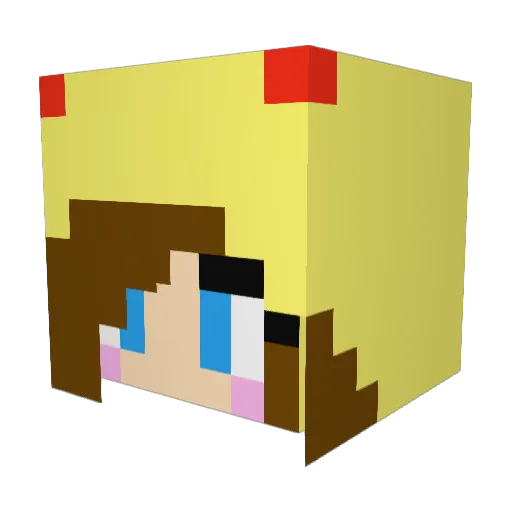 BirdofParadis3 Minecraft avatar head, 3D render