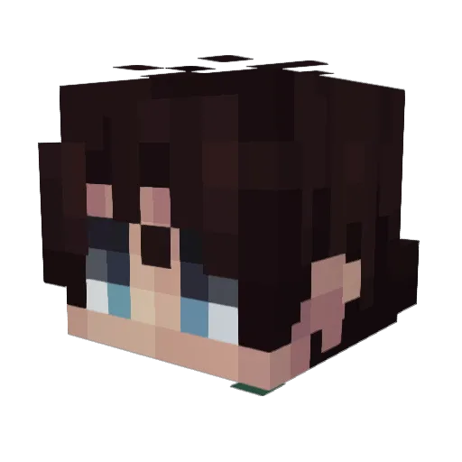 Birdoh Minecraft avatar head, 3D render