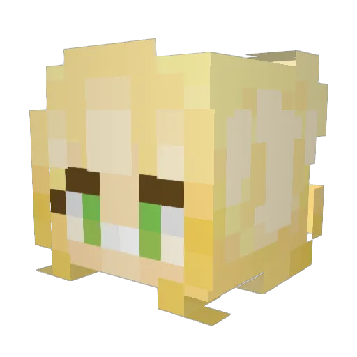 Birdookie_ Minecraft avatar head, 3D render