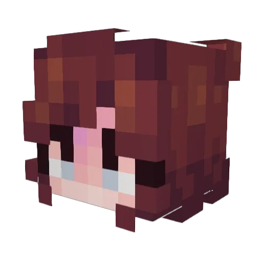 BirdsCollective Minecraft avatar head, 3D render