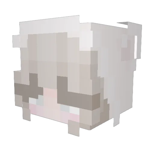Birds_ArentReal Minecraft avatar head, 3D render