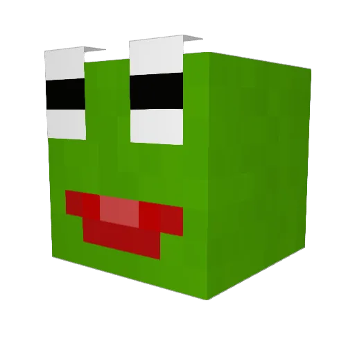 Birds_Dont_Exist Minecraft avatar head, 3D render
