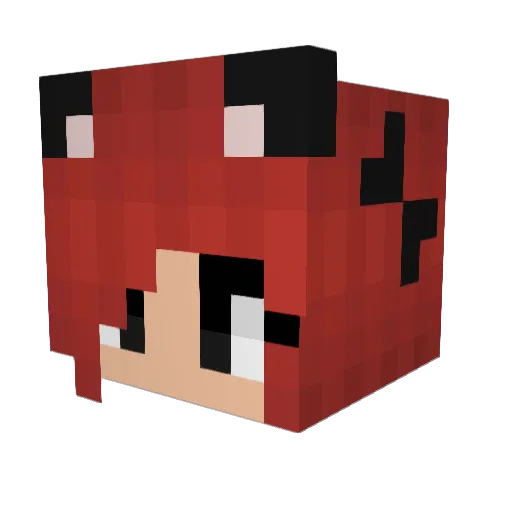 Birdx3 Minecraft avatar head, 3D render