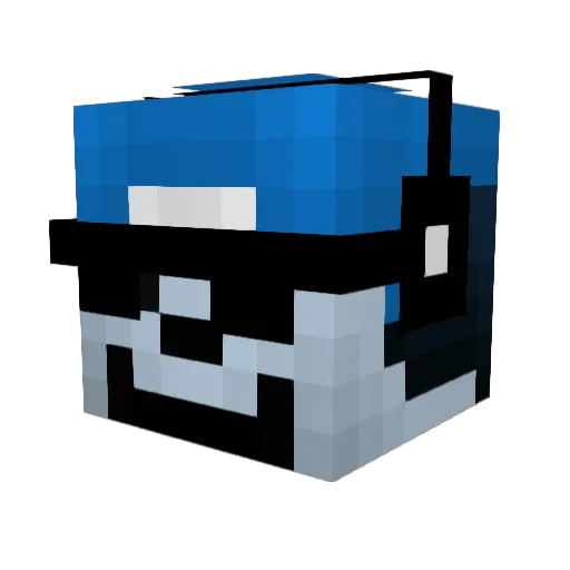 Birdy0206 Minecraft avatar head, 3D render