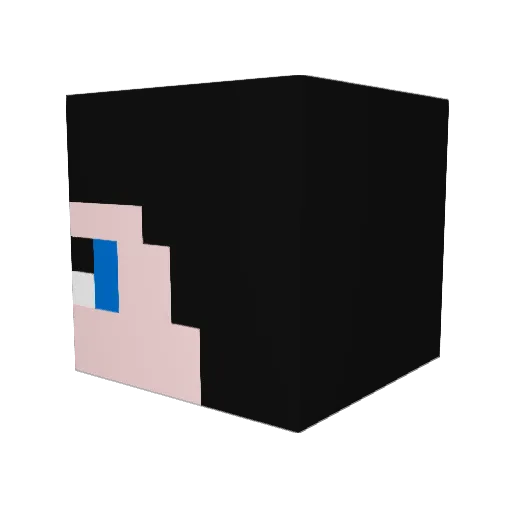 BirdyBlock Minecraft avatar head, 3D render