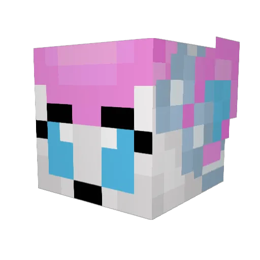 BirdyMaster87 Minecraft avatar head, 3D render