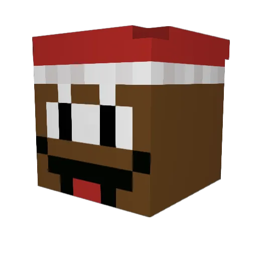 Birewegge Minecraft avatar head, 3D render