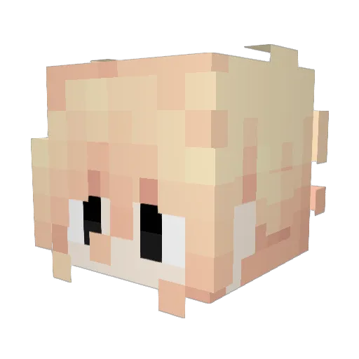 Bireyci Minecraft avatar head, 3D render