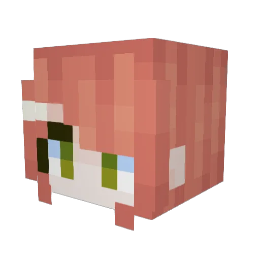 Biri_02 Minecraft avatar head, 3D render
