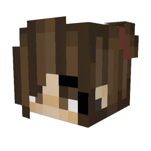 Birk312 Minecraft avatar head, 3D render