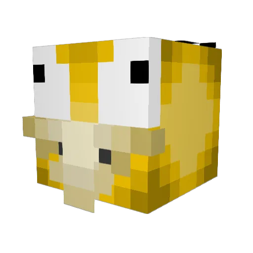 Birk55 Minecraft avatar head, 3D render