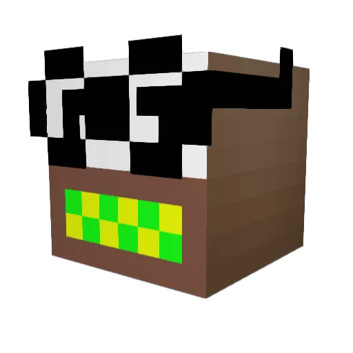 Birka1337 Minecraft avatar head, 3D render
