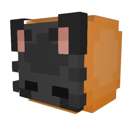Birkbar Minecraft avatar head, 3D render