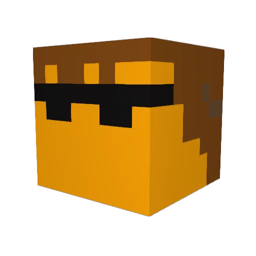 Birke99 Minecraft avatar head, 3D render