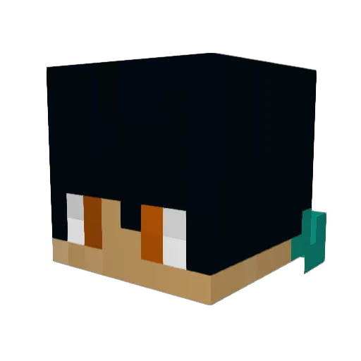 BirkeHD Minecraft avatar head, 3D render